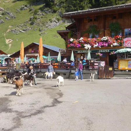 Spacious Near The Area Chalet *