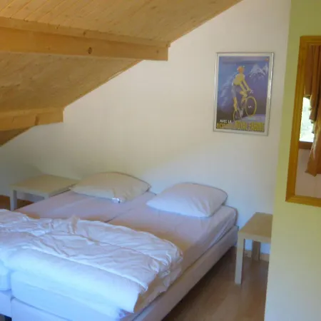 Spacious Near The Area Chalet Saint-Jean-dʼAulps